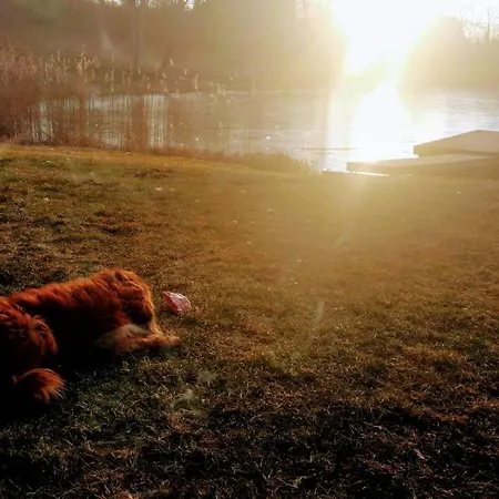 Vakantiehuis Lombi House Otepää