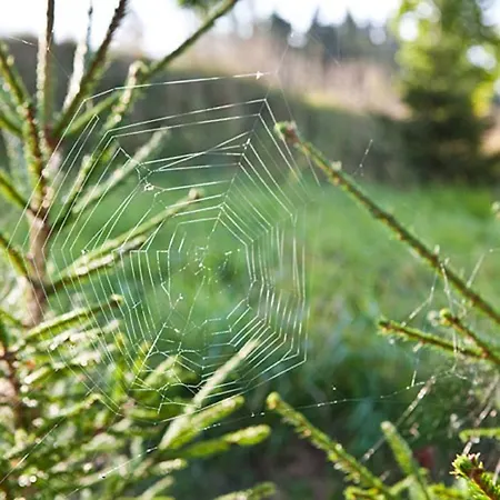 Vakantiehuis Lombi House Otepää