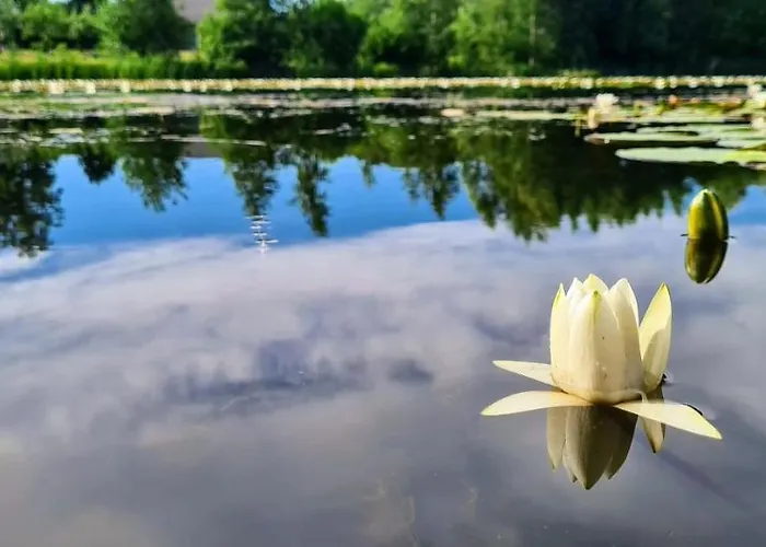 Lombi House Otepää