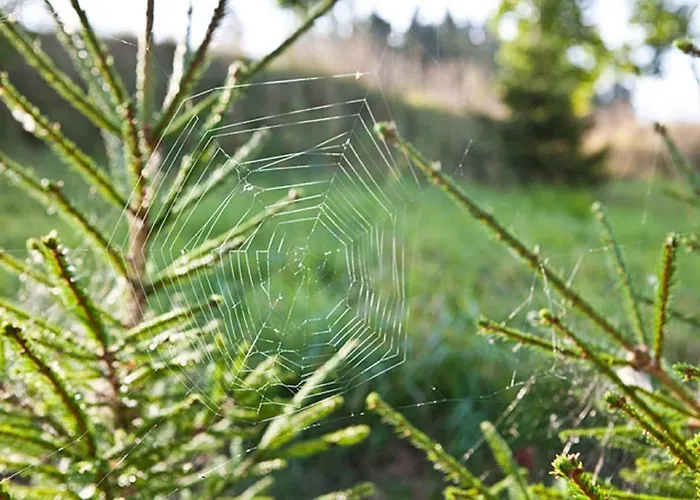 Vikendica Lombi Holiday House Otepaa