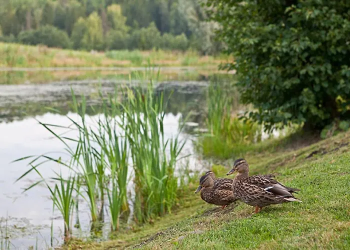 Lombi Holiday House Vikendica *