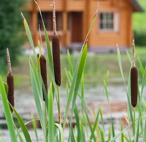 بيت للعطل Lombi House Otepää